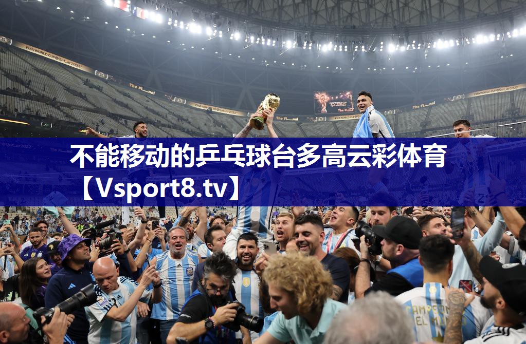 不能移动的乒乓球台多高云彩体育