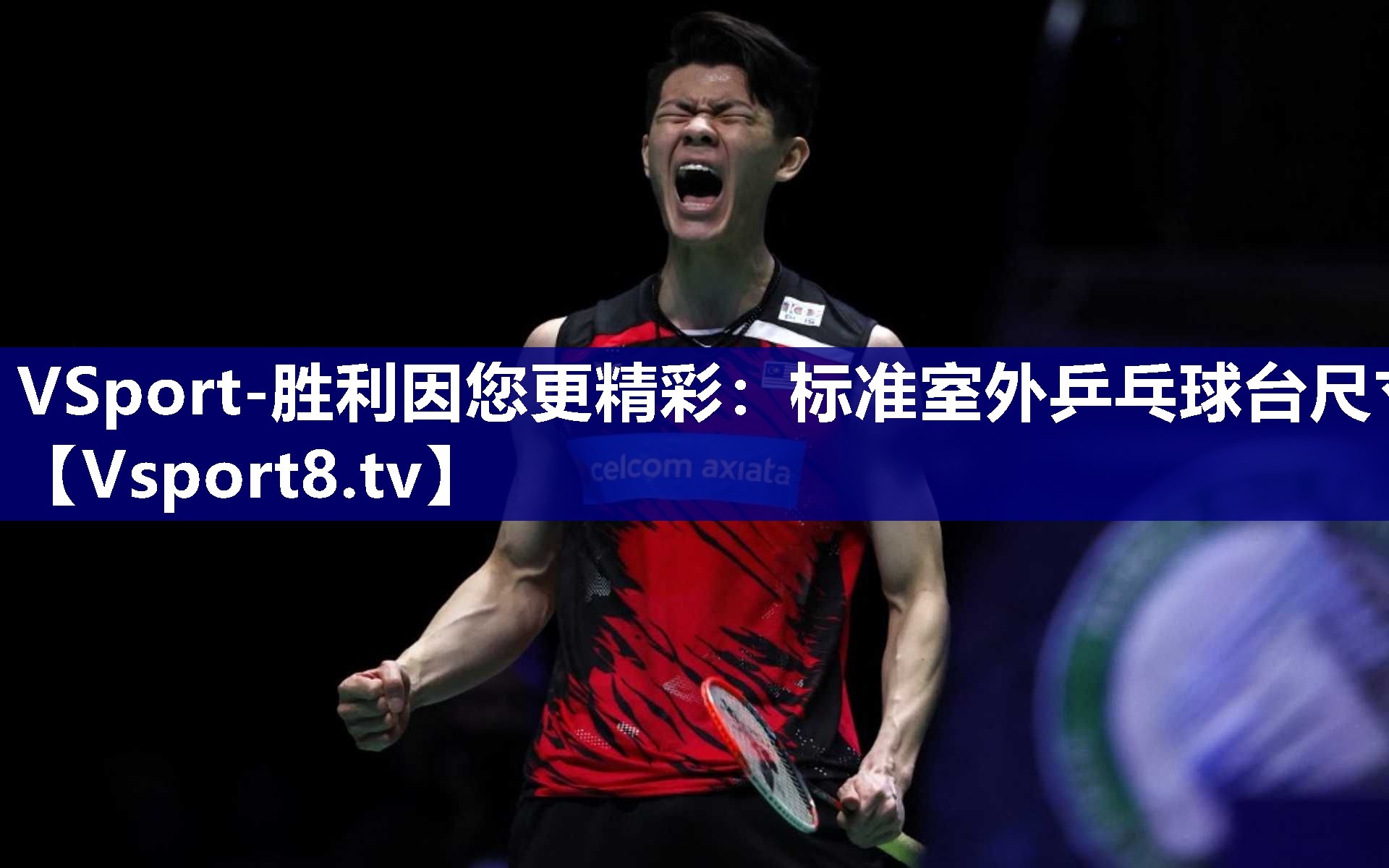 VSport-胜利因您更精彩：标准室外乒乓球台尺寸