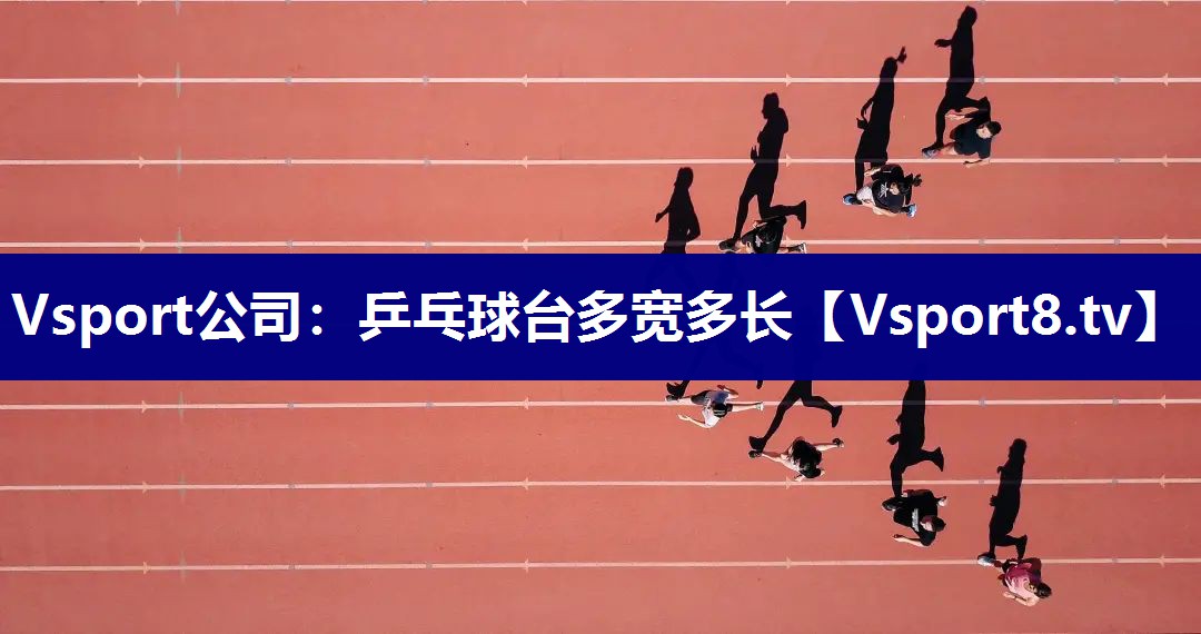 Vsport公司：乒乓球台多宽多长