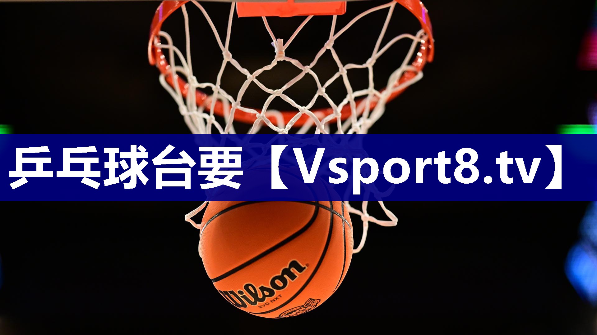 乒乓球台要